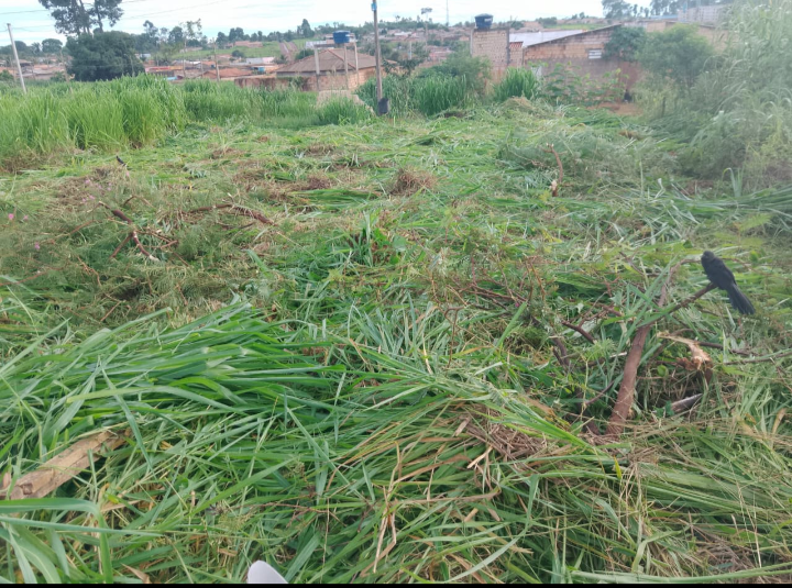 Roçagem de Terrenos e Chácaras