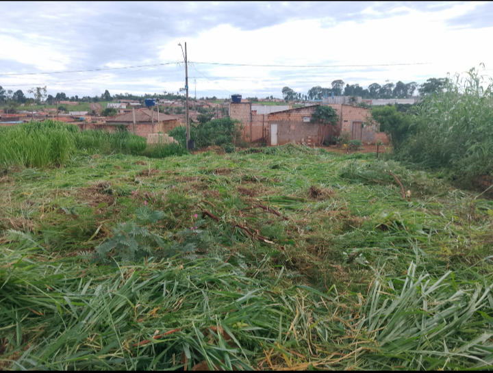 Roçagem de Terrenos e Chácaras